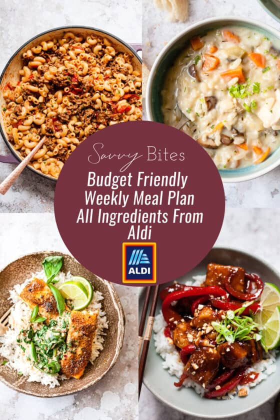 Money Saving Aldi Meal Plan- Free Shopping List - Savvy Bites