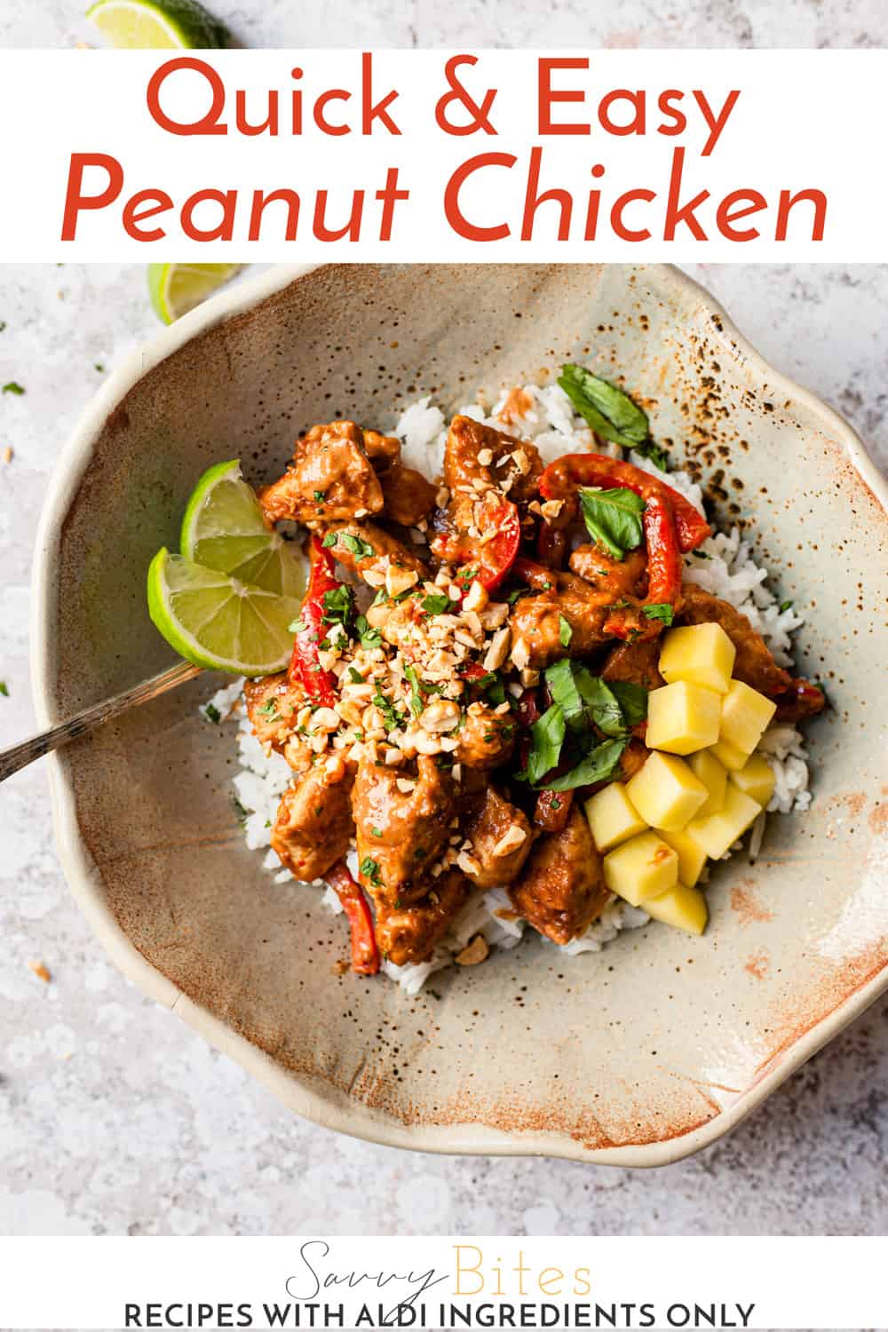 Sweet & Spicy Peanut Butter Chicken Savvy Bites