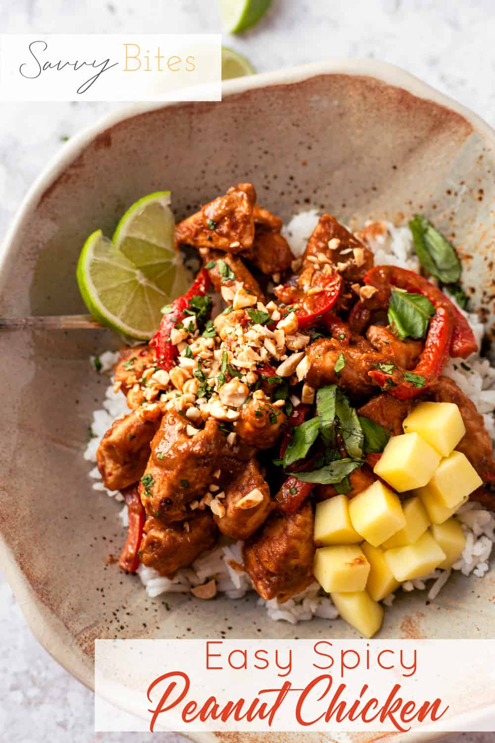 Sweet & Spicy Peanut Butter Chicken Savvy Bites