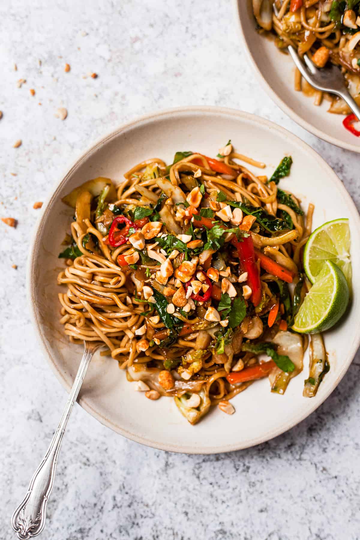 15 Minute Vegetable Stir Fry Noodles - Savvy Bites