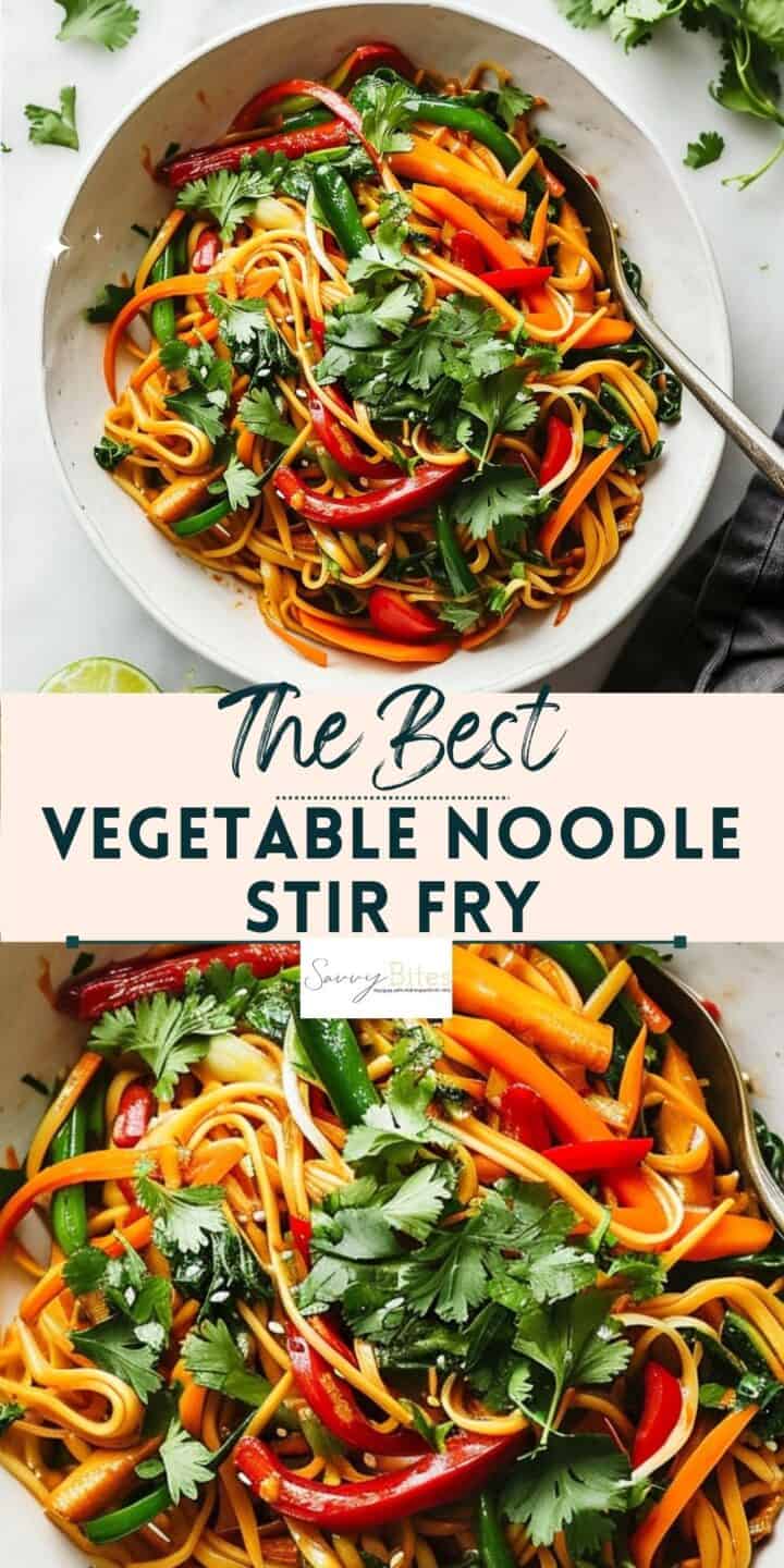 Easy 15 Minute Vegetable Stir Fry Noodles - Savvy Bites