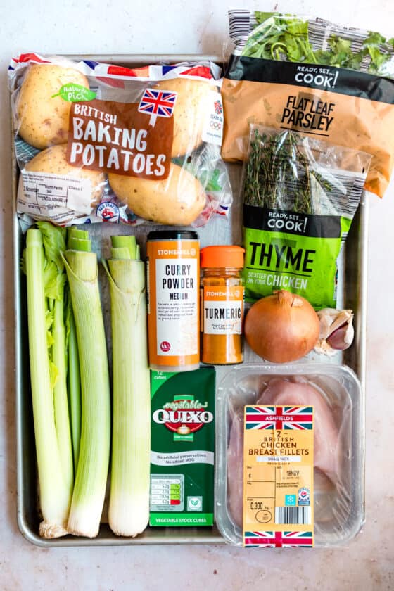 Easy Creamy Leek and Chicken Soup - Savvy Bites