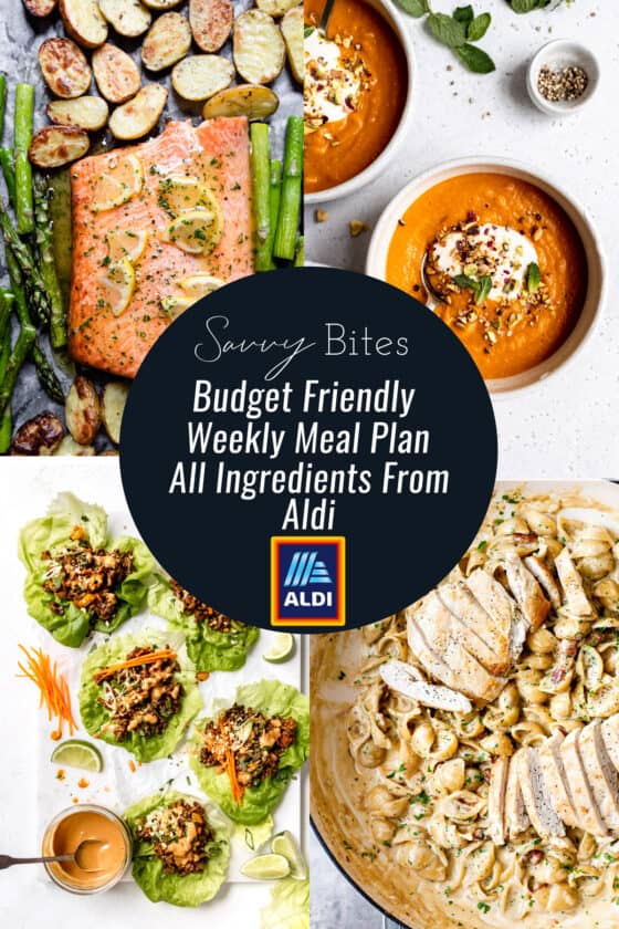 Aldi Quick and Easy Budget Meal Plan January 10 - Savvy Bites