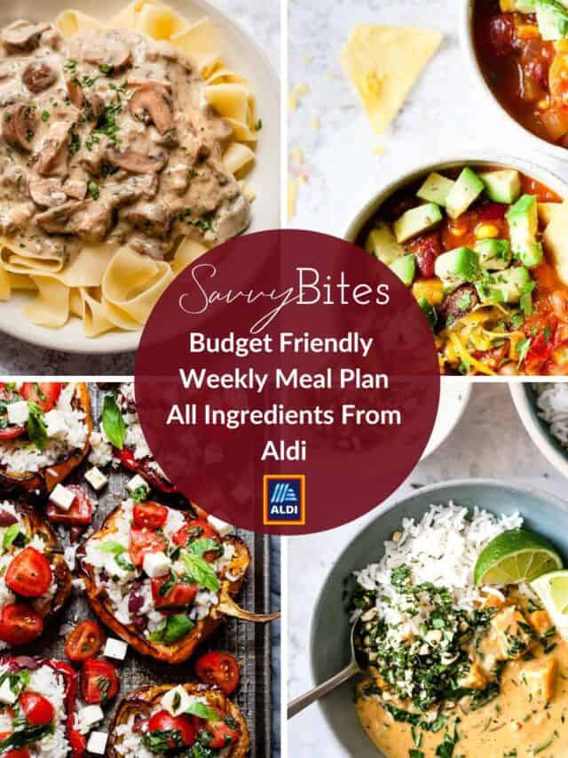 easy-crispy-sticky-chicken-aldi-ingredients-only-savvy-bites