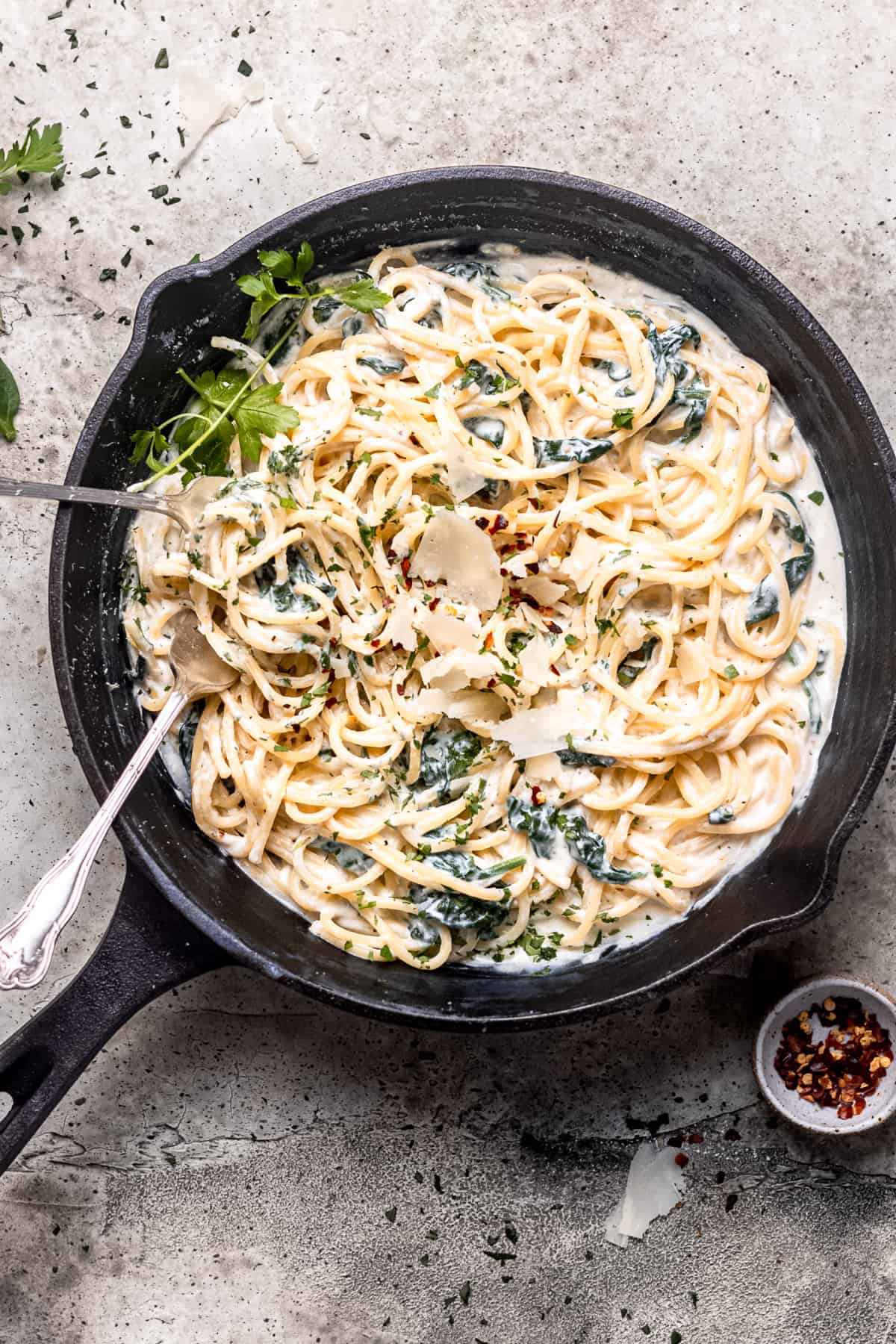 Pasta with parmesan cheese and ricotta sauce.
