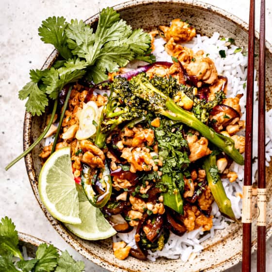 Quick and Easy Turkey Stir Fry 15 Minute Recipe Savvy Bites