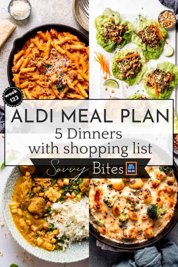 Family Budget Meal Planning 123 - Savvy Bites