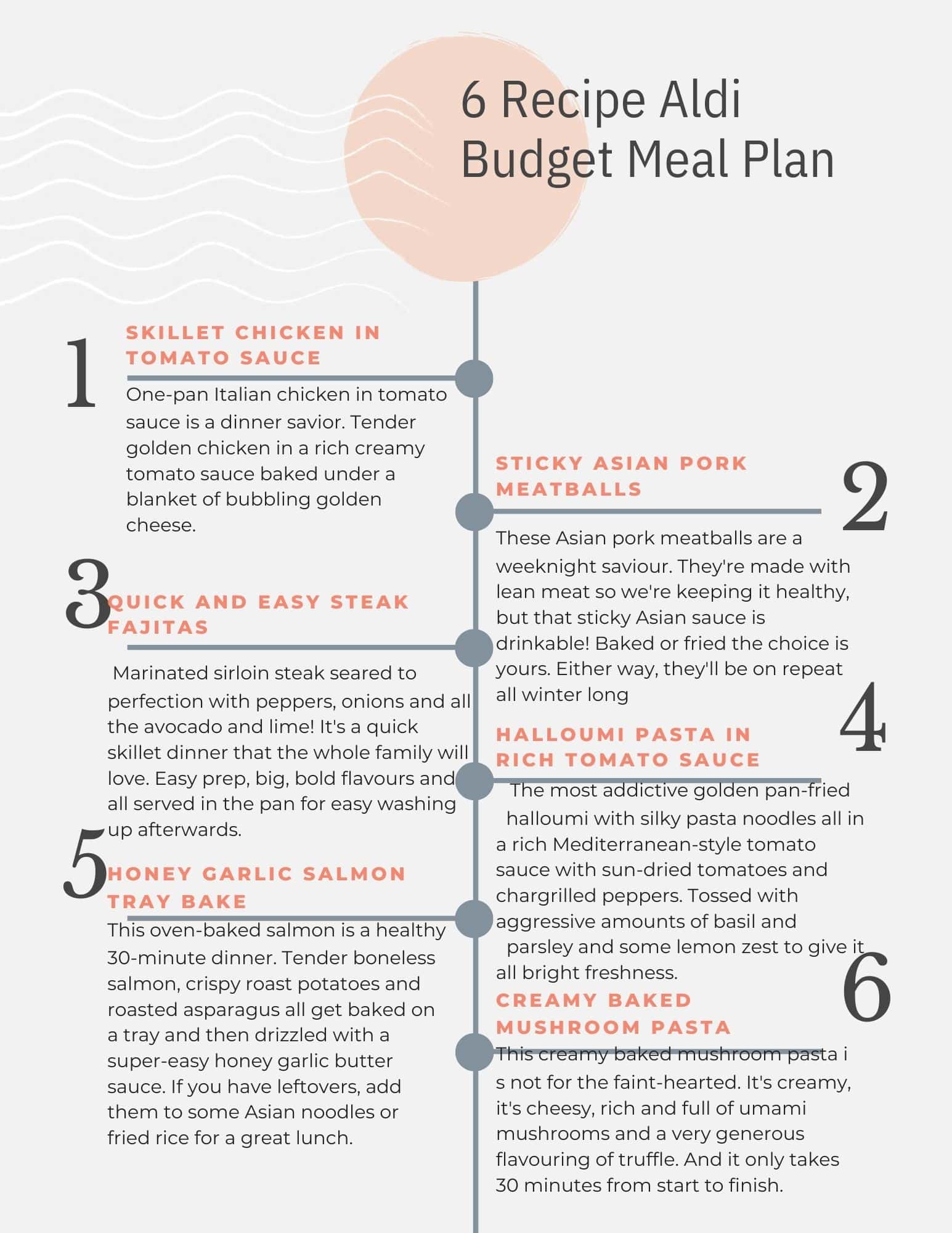 Aldi meal plan tip sheet.