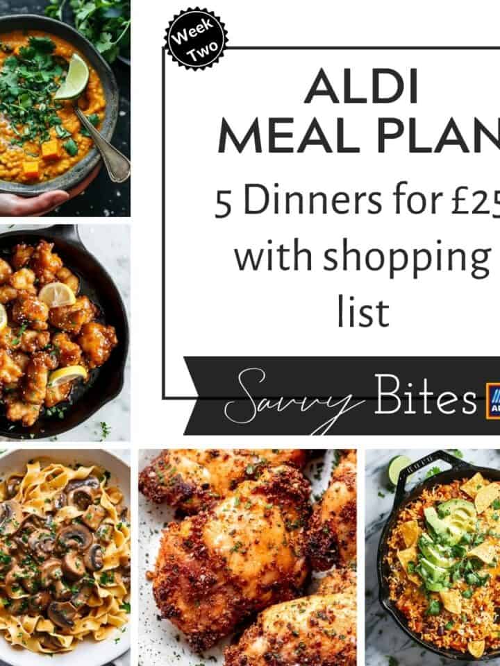 7 Day Aldi Budget Meal Plan (Nov. 23-29) - Savvy Bites