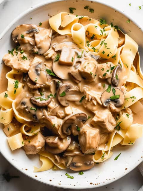 Chicken stroganoff with mushrooms and parsley over noodles in a white bowl.