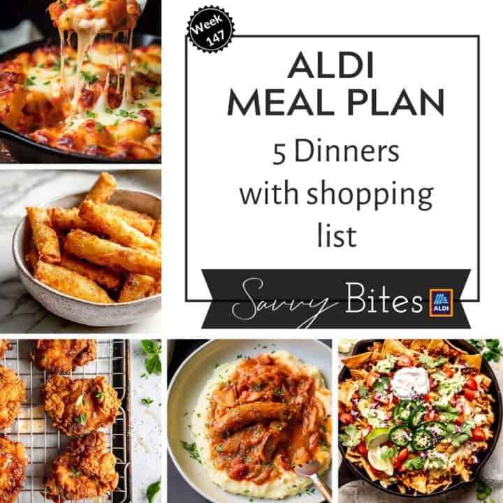 45 Aldi Dinner Ideas Your Family Will Love - Savvy Bites