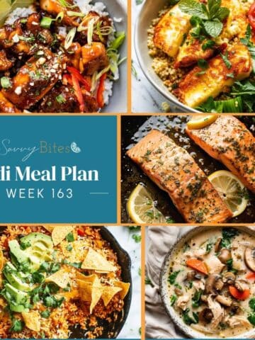 Aldi budget meal plan 163 recipes collage.