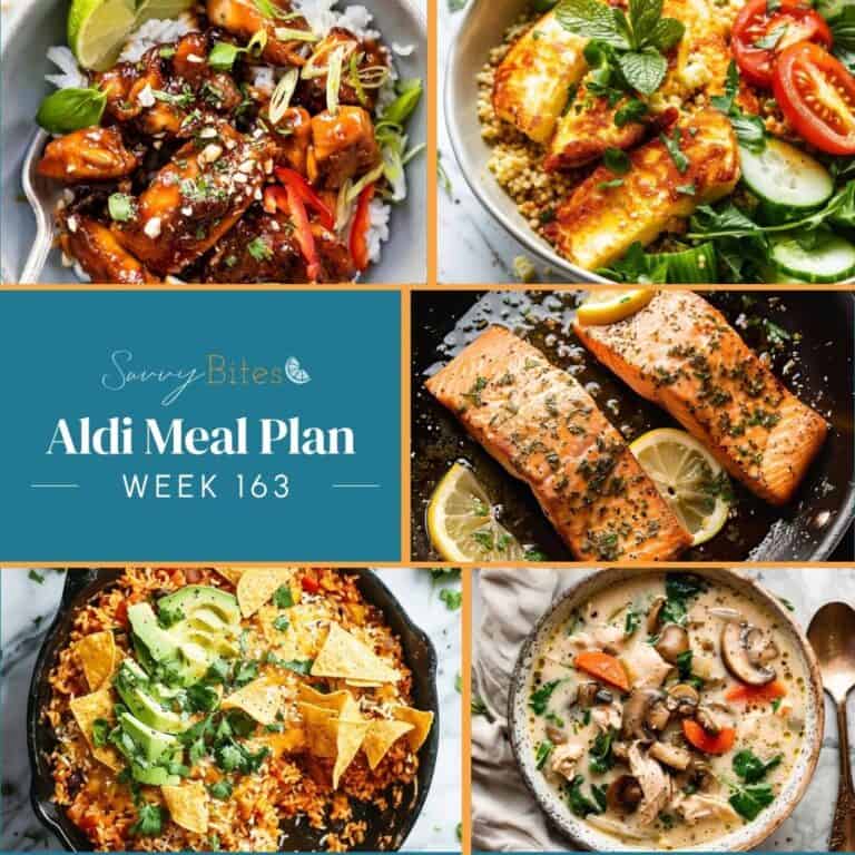 Aldi budget meal plan 163 recipes collage.