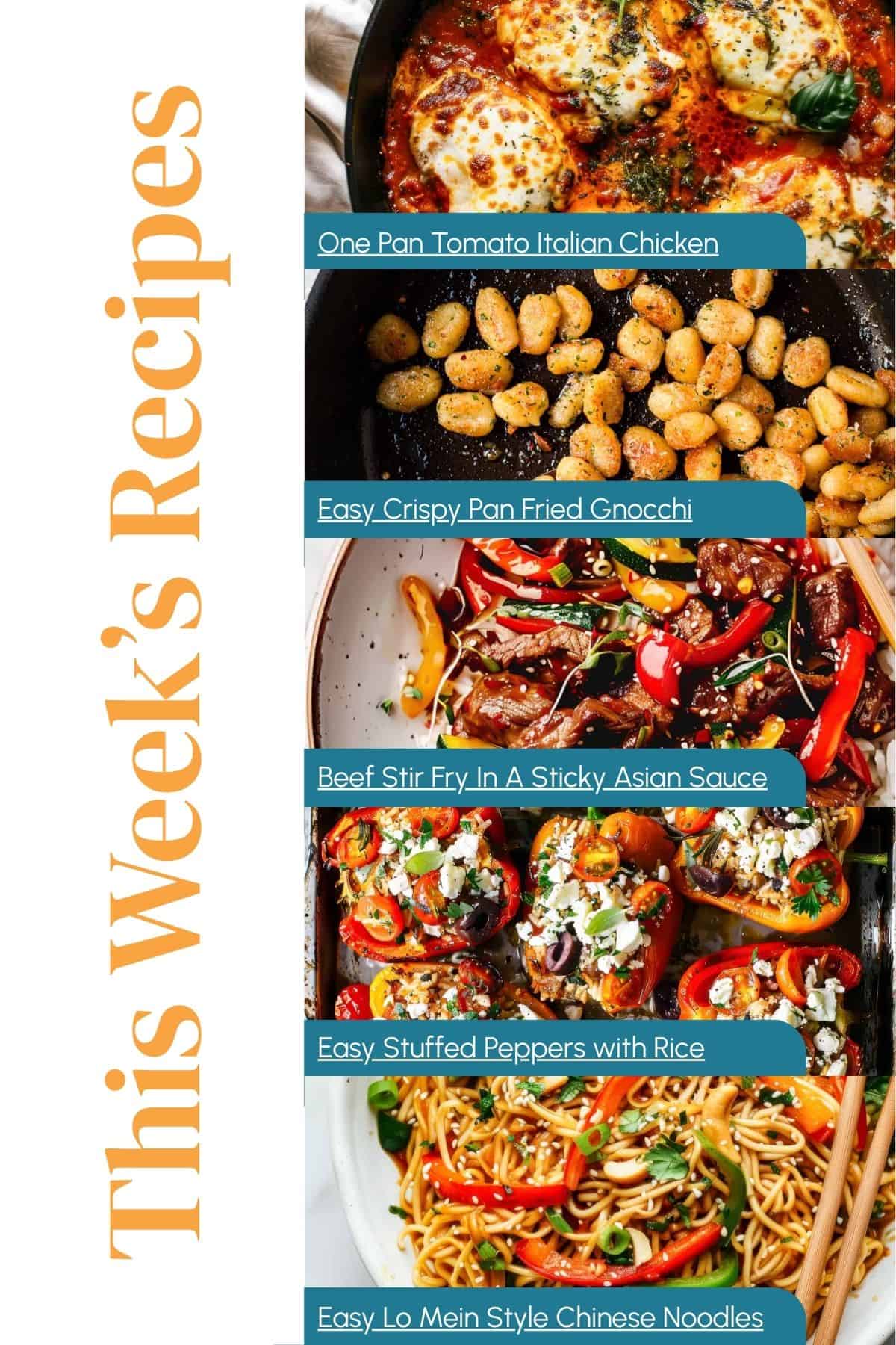 Aldi meal plan menu selection.